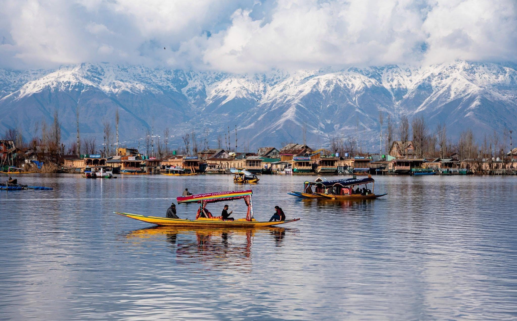 Kashmir Delight