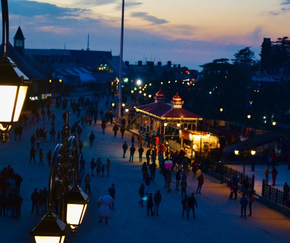 Shimla Delight